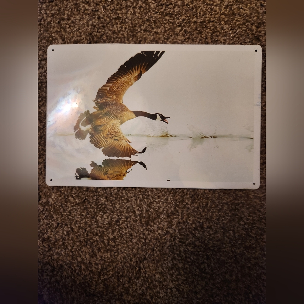 Flying Goose Metal Wall Art